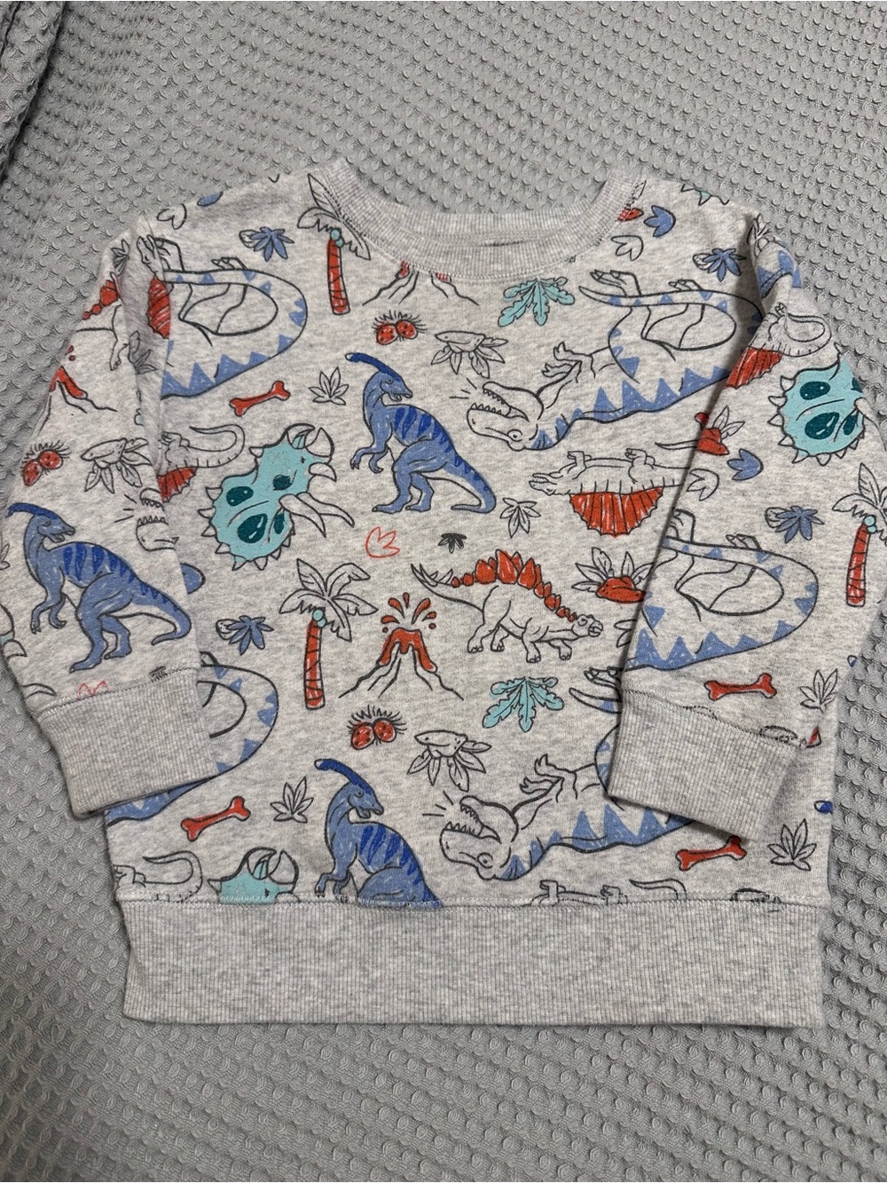jumping beans Gray Dinosaur Print Crewneck Sweatshirt with Blue and Red Accents